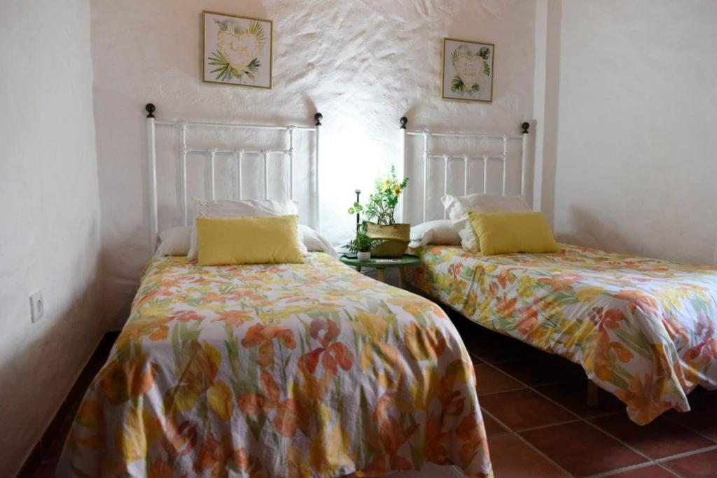 Hacienda San Francisco Villa Prado Del Rey Eksteriør bilde